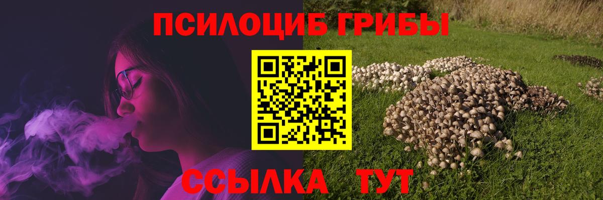 Псилоцибиновые грибы прущие грибы  Вход с VPN  Нефтеюганск 